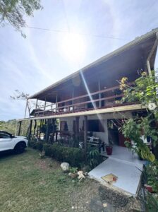 the hummingbird nest
