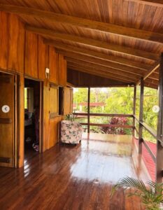 the hummingbird nest