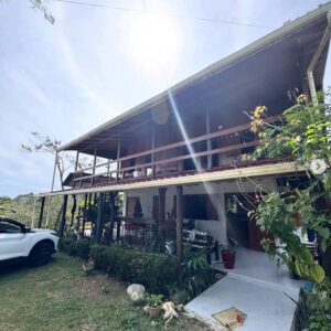 the hummingbird nest