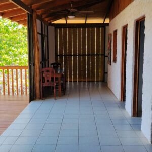 the monkey house